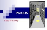 Prison Bingo Slides.ppt