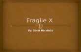 Fragile x final