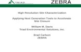 Zebra - TRIAD-ES Joint Presentation