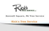Kennett Square, PA Tree Service