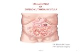 Management of enterocutaneous fistula