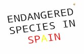 Endangered species in spain map