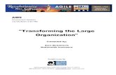 Transforming the Large Organization