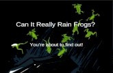 Can It Really Rain Frogs?