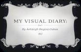 My visual diary