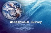 C:\Fakepath\Windshield Survey