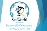 Seaworld® Weekday Wanderer final draft