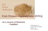 Fish protein hydrolysate (fph)-kashmeera