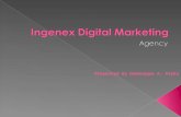 Ingenex digital marketing Campaign