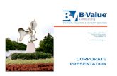 B Value Consulting / Financial Valuation