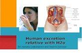 Human excretion with h2 o