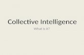 Collective Intelligence - The Pecha Kucha