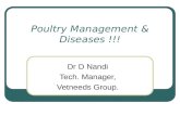 Poultry management & diseases