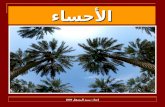 Al Ahsa  Arabic
