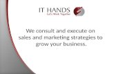 ITHands Business Intro