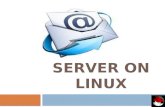 Mail server on linux