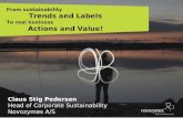 From Sustainability Trends and Labelling - to Real Business Actions and Value - Novozymes