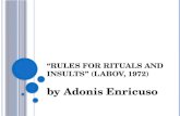 Rules for Ritual Insults