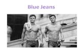 W:\Jasperson\Tri 3\Comp App Cbs Pd 3\Macy V\C Af Cb S Portfolio\Blue Jeans