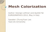Mesh colorization presentation