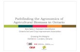 Ontario Fieldscale Agricultural Biomass Update
