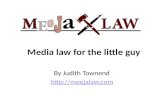 Media law for the little guy