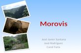Morovis (1)