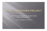 Pp7 Longhorn Project 1