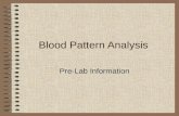 Blood pattern analysis