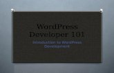 WordPress developer 101