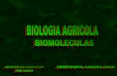 Biomoleculas 2011