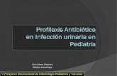 Infeccion Urinaria en pediatría 2010