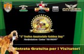 1° Trofeo Amatoriale Golden Day Dogs