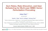 Multiuser MIMO Vector Perturbation Precoding