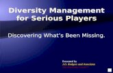 Diversity Management For Serious Players Flash