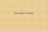 My daily routine (2)