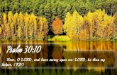 Psalm 30:10 - Bible Verse of the Day