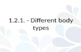 Bec   1.2.1 different body types
