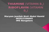 Thiamine (vitamin b1) and riboflavin (vitamin b2) actions as co-enzyme