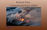 Crowsnest Pass 2003