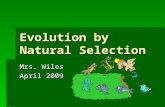 Evolution by natural selection