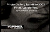 Cameron Scoines MDIA3002 final slideshow