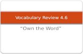 Vocabulary review 4