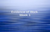 Evidence Work Week 1