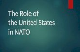 Role of the United States in NATO
