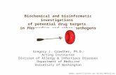 Biochemical and bioinformatic investigations of potential drug targets in Plasmodium and other pathogens