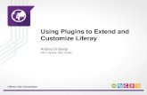 Using Plugins to extend and customize Liferay
