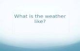What's the weather vocab