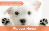 Forever Home - Rehome your pet [case study]