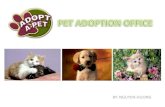 Pet adoption store 2